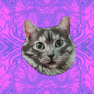 Meet your Posher, Kaitlyn